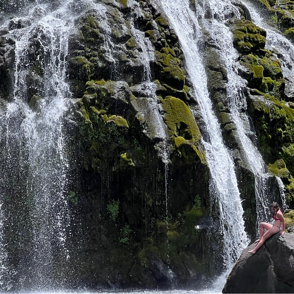 Meet your Posher, Taylor - Picture 2 of 2